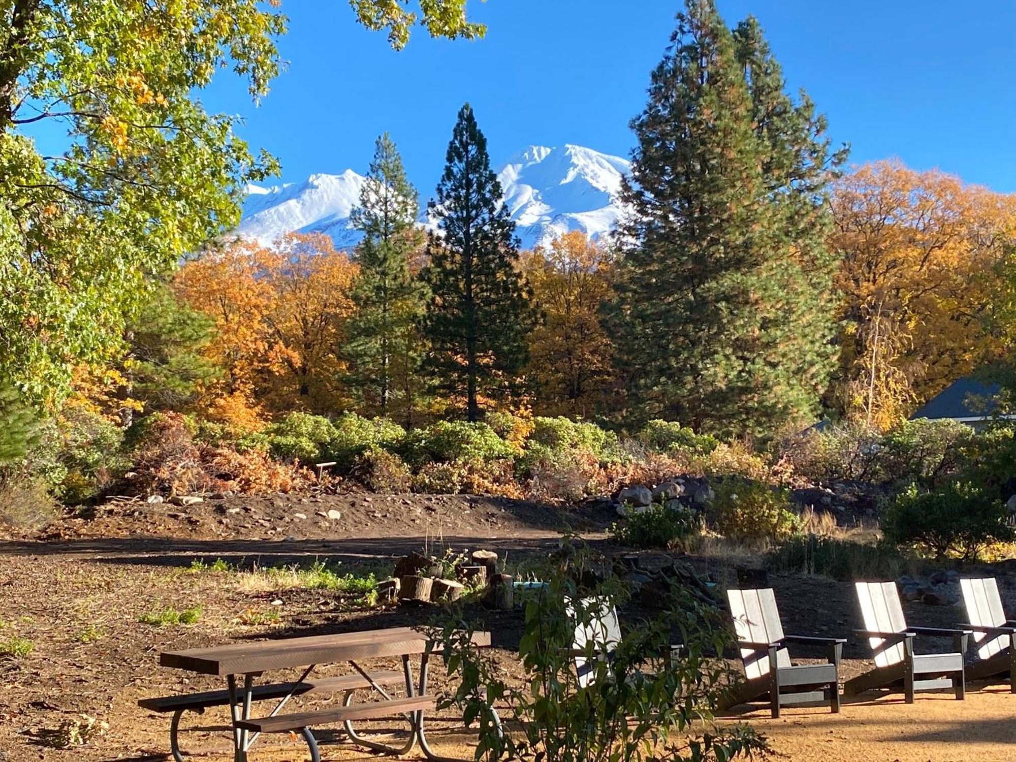 Basecamp Lodge Mount Shasta Buitenkant foto